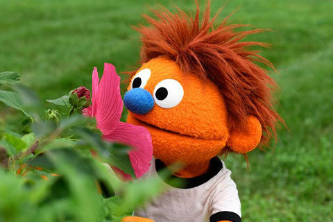 Hank-smelling-flower