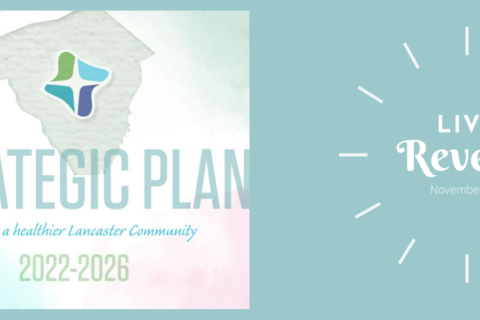 Strategic Plan Live Reveal Imave